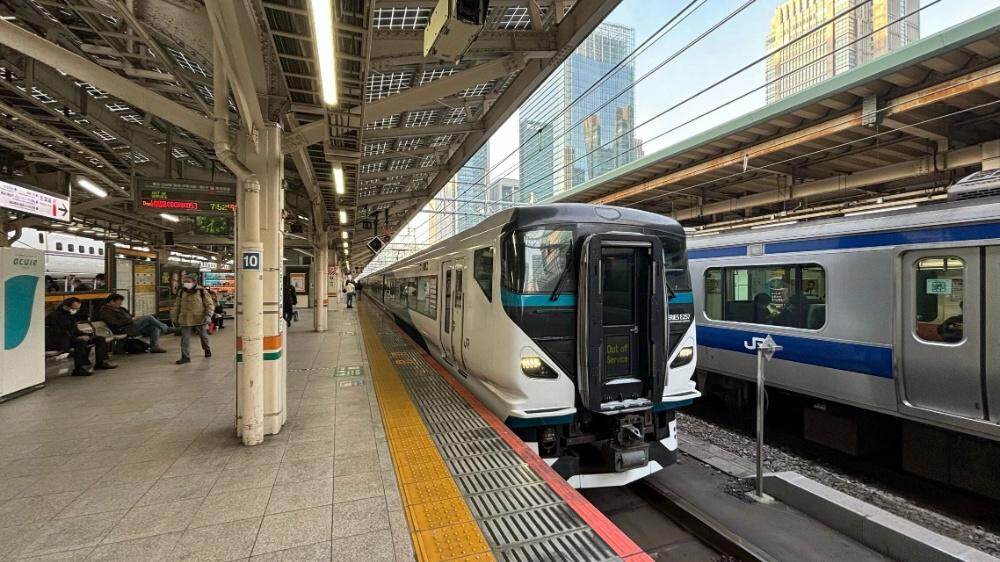 Kawazu Cherry Blossoms