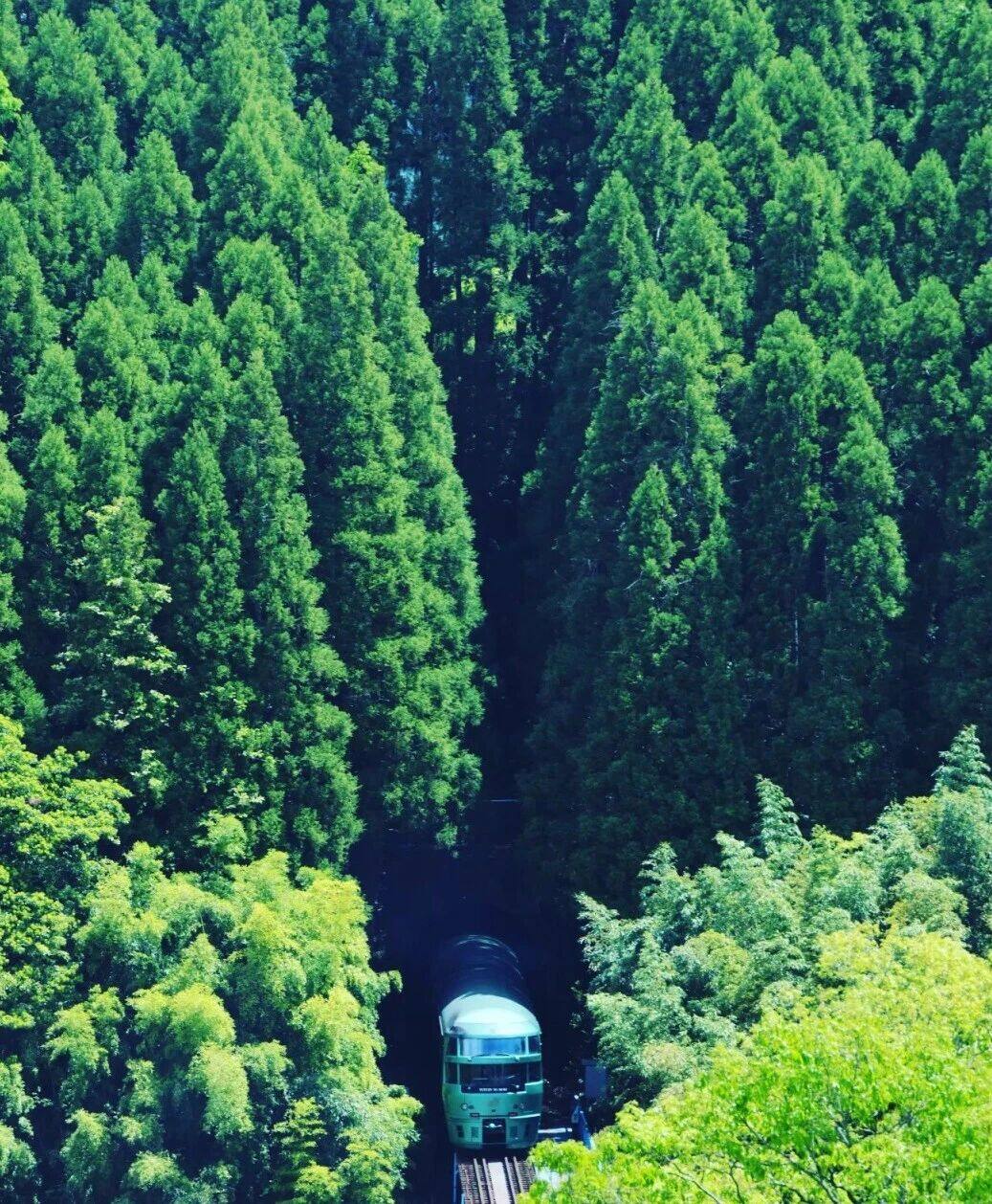 Los 10 trenes turísticos más populares de Japón en 2026: Guía completa de compra de boletos y uso